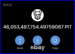 100 Billion Pitbull (PIT)- Crypto Coin, INSTANT DELIVERY