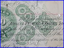 1889 Bristol, TN Ashley's Bromine And Arsenic Spring Co Stock Certificate #85