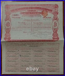 1899 The NEWFOUNDLAND COPPER COMPANY Share Warrent/Bond/Stock Certificate 25 Sha