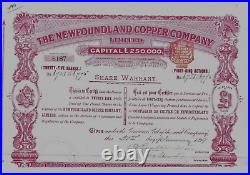 1899 The NEWFOUNDLAND COPPER COMPANY Share Warrent/Bond/Stock Certificate 25 Sha