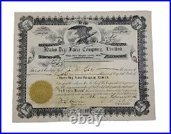 1910 Idaho Dry Farm Co Stock Certificate #9 Issued To J. W. Lee