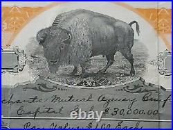 1915 Merchants Mutual Agency Stock Certificate #4 Issued to M. E. Sheehaw