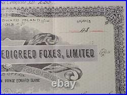1915 The John R. Dinnis Pedigreed Foxes, Limited Stock Certificate #1548