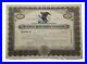 1929-Wolff-Heide-Photo-Chemical-Stock-Certificate-6-Issued-To-John-A-McCarthy-01-qhld