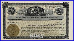 #317 & #318 East Divide Extension Mining Company Consecutive Vintage Stocks