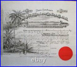 Belize /'British Honduras Syndicate' 1891 Stock Certificate Central America