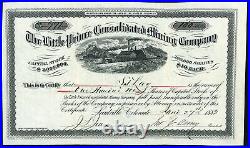 LEADVILLE COLORADO LITTLE PRINCE CONSOLIDATED MINING COMPANY Breece Hill 1882