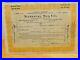 National Tea Company 1925 Original Stock Certificate Merrill Lynch Signed