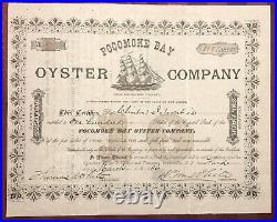 Pocomoke Bay Oyster Co NJ / MD VA connections 1886 stock certificate not tin can