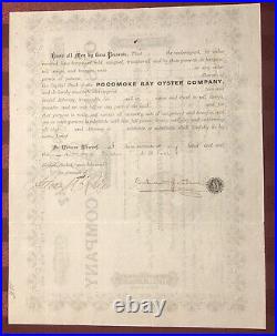 Pocomoke Bay Oyster Co NJ / MD VA connections 1886 stock certificate not tin can