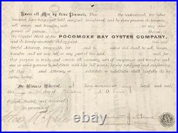 Pocomoke Bay Oyster Co NJ / MD VA connections 1886 stock certificate not tin can