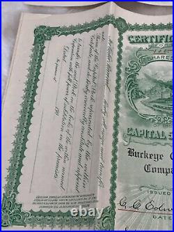 Rare Lot Of 4 1905 Buckeye Copper Co Stock Certificates Seattle