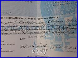 Stock Certificate Walt Disney Company 1993 Vintage Original 1 Share Listed Rare