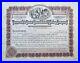 Tamarack-Custer-Consolidated-Mining-Co-1920s-Stock-Certificates-100-PIECES-01-brh