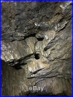 The Golden North Mine (Colorado Lode Claim)