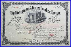 Thompson & Tucker Lumber Company' 1904 Stock Certificate Willard / Taylor, TX